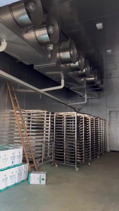 海南儲(chǔ)存保鮮冷庫(kù)制冷工程