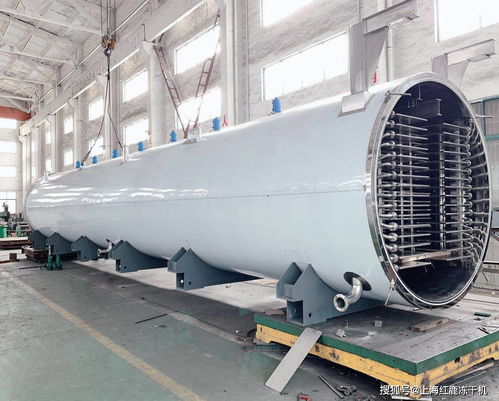 生產(chǎn)型食品冷凍干燥機(jī),大型食品凍干機(jī)設(shè)備